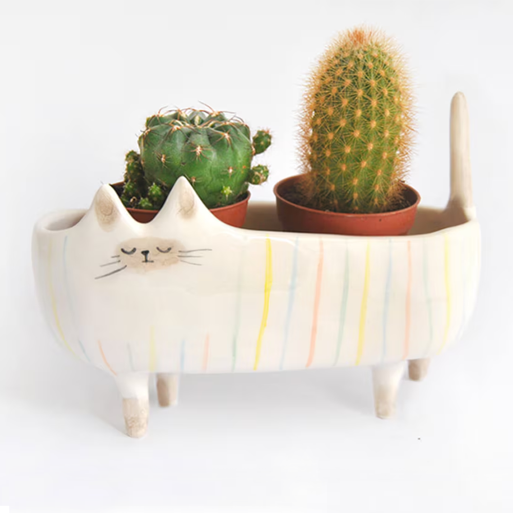Personalizated Ceramic Cat Planter