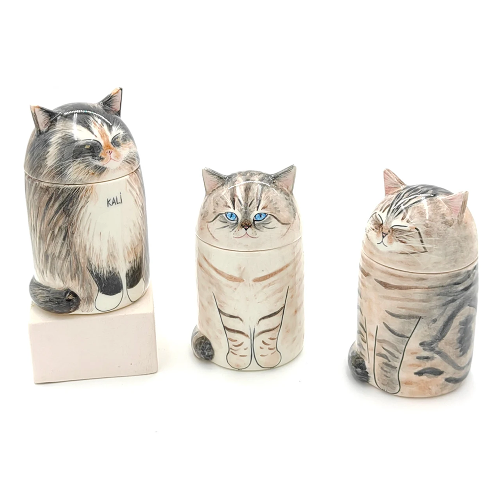 Personalized Custom Cat