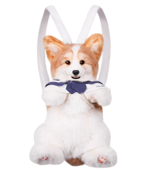MEMOTAILS © Corgi Backpack