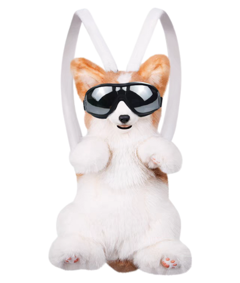 MEMOTAILS © Corgi Backpack