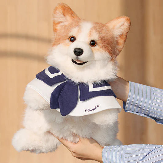 MEMOTAILS © Corgi Backpack