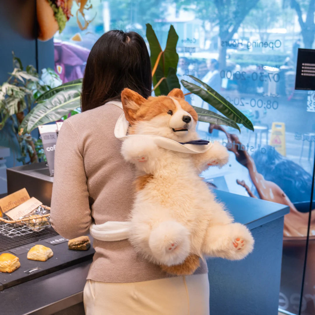 MEMOTAILS © Corgi Backpack
