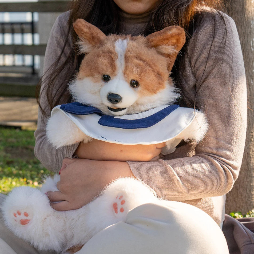 MEMOTAILS © Corgi Backpack