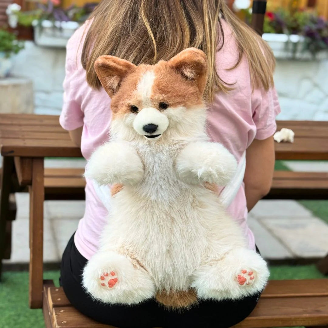 MEMOTAILS © Corgi Backpack