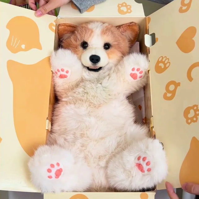 MEMOTAILS © Corgi Backpack